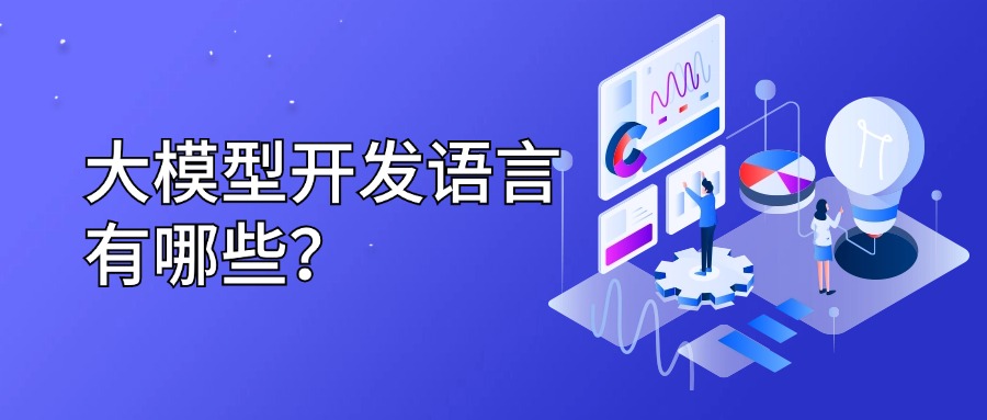 大模型开发语言有哪些